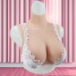 Buste faux seins, vaisseaux apparents, col haut